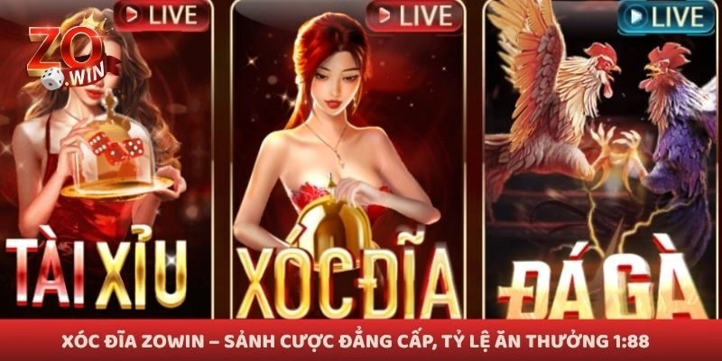 Xóc Đĩa Zowin – Sảnh Cược Đẳng Cấp, Tỷ Lệ Ăn Thưởng 1:88 